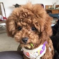 1c827d5fbedf8f86c30a679f1d736592e0bce300