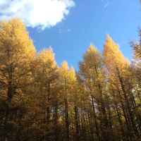 6352c451a431643c0acdabca1008f60d9f06be89