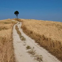 C7c0f5e31cbfb160245ac7bb3c9156ecc8179794