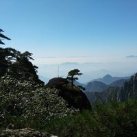 653ee91a30c7cc68e219d4f6021a7fb74a756b89