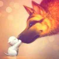 Fa2b632ad39dfbc6122f6ebef528b8139993089a