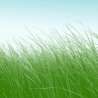 925e79eca1df9282be485c0f2e3816dce8c19f07