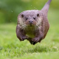 B3f0cf3a246b87ad26664c1e7b97536aca05520c