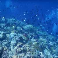 7a2bc59439971f14520535074becf1561f5678aa