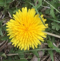 9d77f2712dcec7502b9015ccab0a84e8603cac87