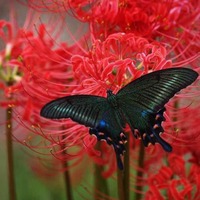 E6f8020455df2a22fdf868346f5abc5e807ed5ab