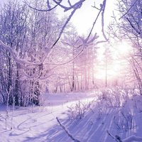 8e20e6ecc8c4a8d67f8f788a22d4fbec5c200470