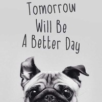 15edf36aaebedd0cb1dd5ddc4374f9700b752895