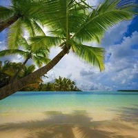 9838ac59c7c70a192fb313e27e9702fd5864ee56