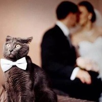 C38b34504c573bce05d1376b4a1da8b98ab58bee