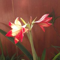 5b951beed26d9ddb6871ded31a97cfacc4831123