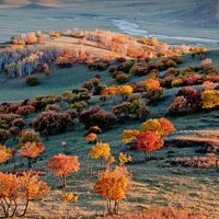 3c9fec0bb0895a993605db07296aba4640364c5f