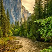 C01e5652e9732dc4acf4bc07e36b5c4694271d83