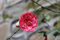 195c8dea6276e42575feb94541fa1695af14e319