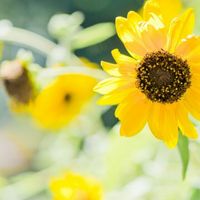 8edaab5cce2ab927a47960206fdee278d6670e44