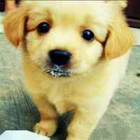 De4e80c7c6dd84b23f2deee6fe8702d1464408fb