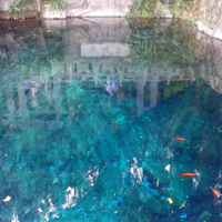 64021ed21628772454131bf8b130d16774f17235