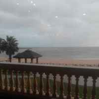 C1586faea02a4120afb503328bae7cb7fb8c8286