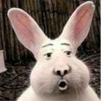 587bc3631afce9f11c5dc8434e69c3b9fc0aad7f