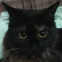 74b89b1518ff0d9ba7d8f3928e0ac4c9014d09d4