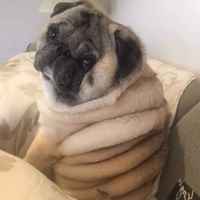 391f68091f131d1defff48a5015629d59f8eb888