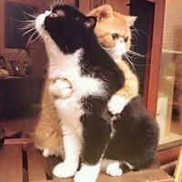 56e984b423c980fd2c50edf88214a5955d08f52b