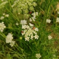 B4a94b57f36c010fb80b87574390fd01462fe3bd