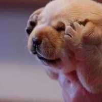 C94c71233e653c35c4b403ef431786e427fdeb89