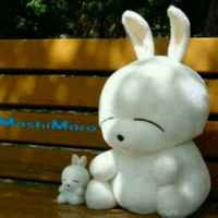 Accbf4ae6395ca2ab7d2e93172fedc5d4a6b4021