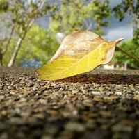 71501282062855281d8c56887f958b0356413b96