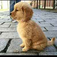 Cf9d9568a80e5bdd88c3b2eb7af8d8d25bc15bea