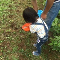 D0d8abf36d225232b3e58dabf81e1fc0f97b62d4