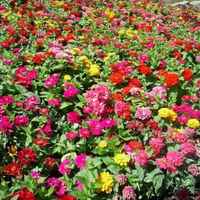 B2e8d53b2c366fb7eb1541e14a98b8aa4bec0a41