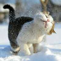 Dc2ae7fda0a5eaacb433d28e59c92d1a2b325a79