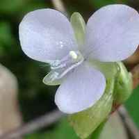 D986a97010dceacc450cd3c35ff6e3b5a26ccfb3