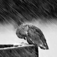 51f3849944a6ae692b3d7c278221e72afaaaaf4a