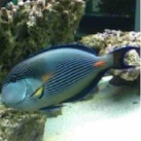 18bb2e865d27a93942071745b0221458056331f1