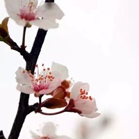 29f366e10a8fb9fb234893d040f4e411eead4f58