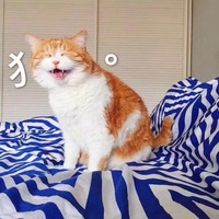 Eb510984b609377e4527507fc159b8b1f75771a2