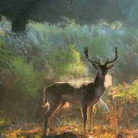 5abaf33f63671cc9c04621f0d00a0984e7d72778