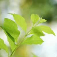 691356b52ce6a69bac1846101770e1f535eb26c0