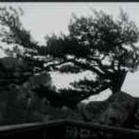 7993a696ae813c09285e66c4c9b4bc094b9228aa