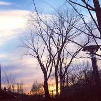 D9d852cc49ca706530937b68239ae0a19892ea72