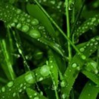 75a5189276fe215b319d5ac37df5fe17dfb6092e