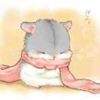 8fd7ad44c01cda9e168452eaed313ca57f6d3a2c