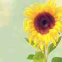 Feefef66404e1d1b348b84494b3b21c56c7c6f7e