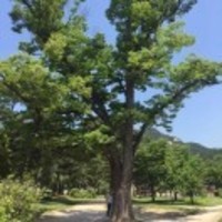 94ba99ecd72d0fcb7b2cb476ccf72fb159560c40