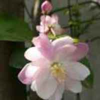 3d3569f3f96c18965a307adf1b306a8d1978e00e