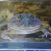 4fbdb9a4f9634dcbc0ec63a049f272249de7ad31