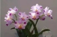 3cd9ed62291a6594ae506dd7ca409b6ec79466c2